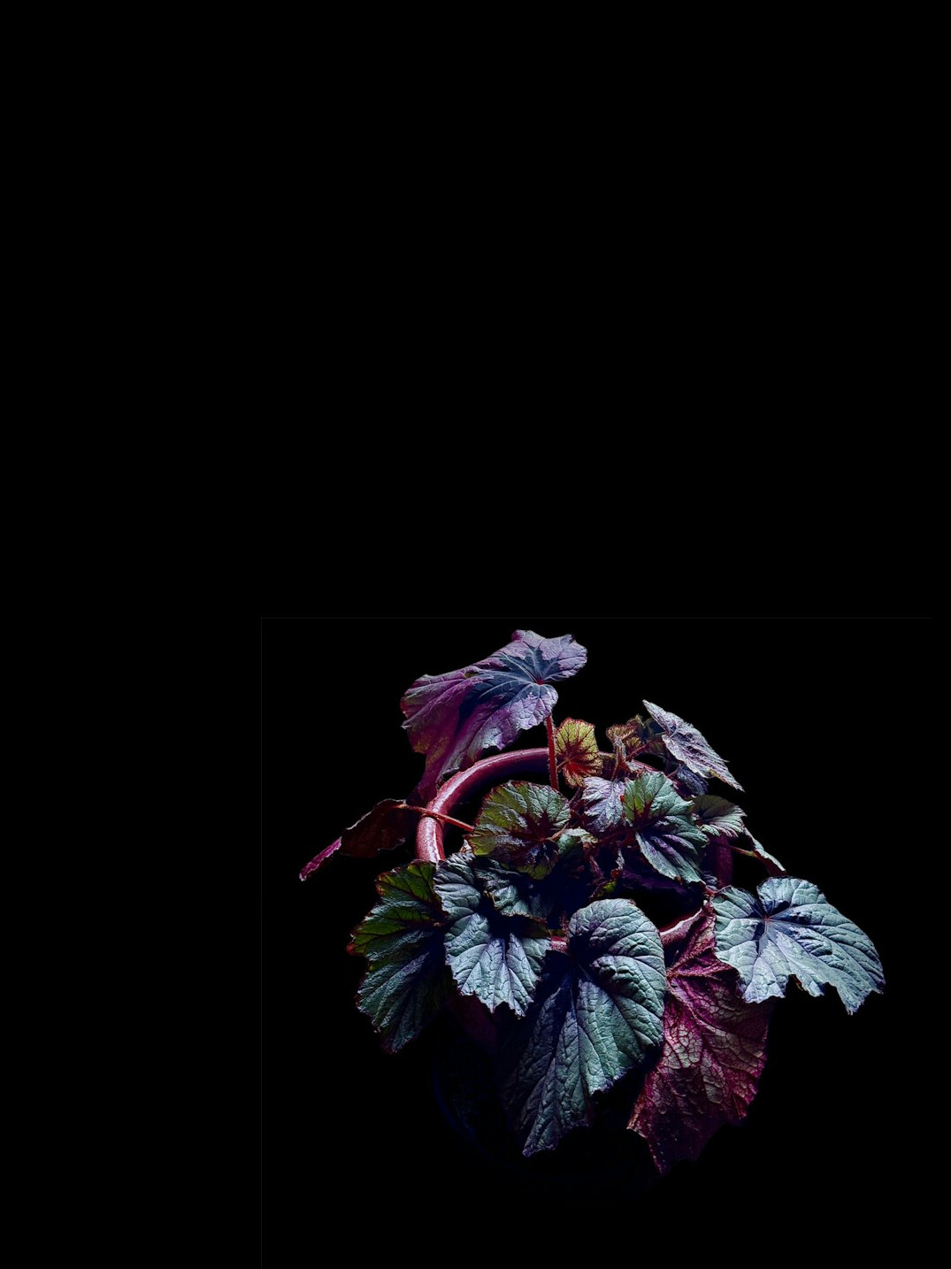 mystery book cover